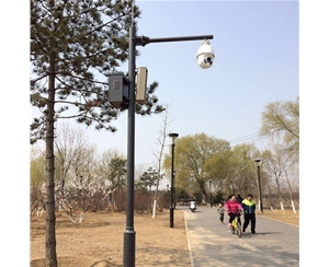 阿图什路灯监控杆-LB-03